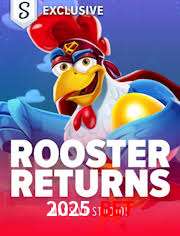 Crash Games Statistics 2025 Bet