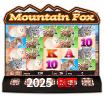 Daily Bonuses 2025 Bet